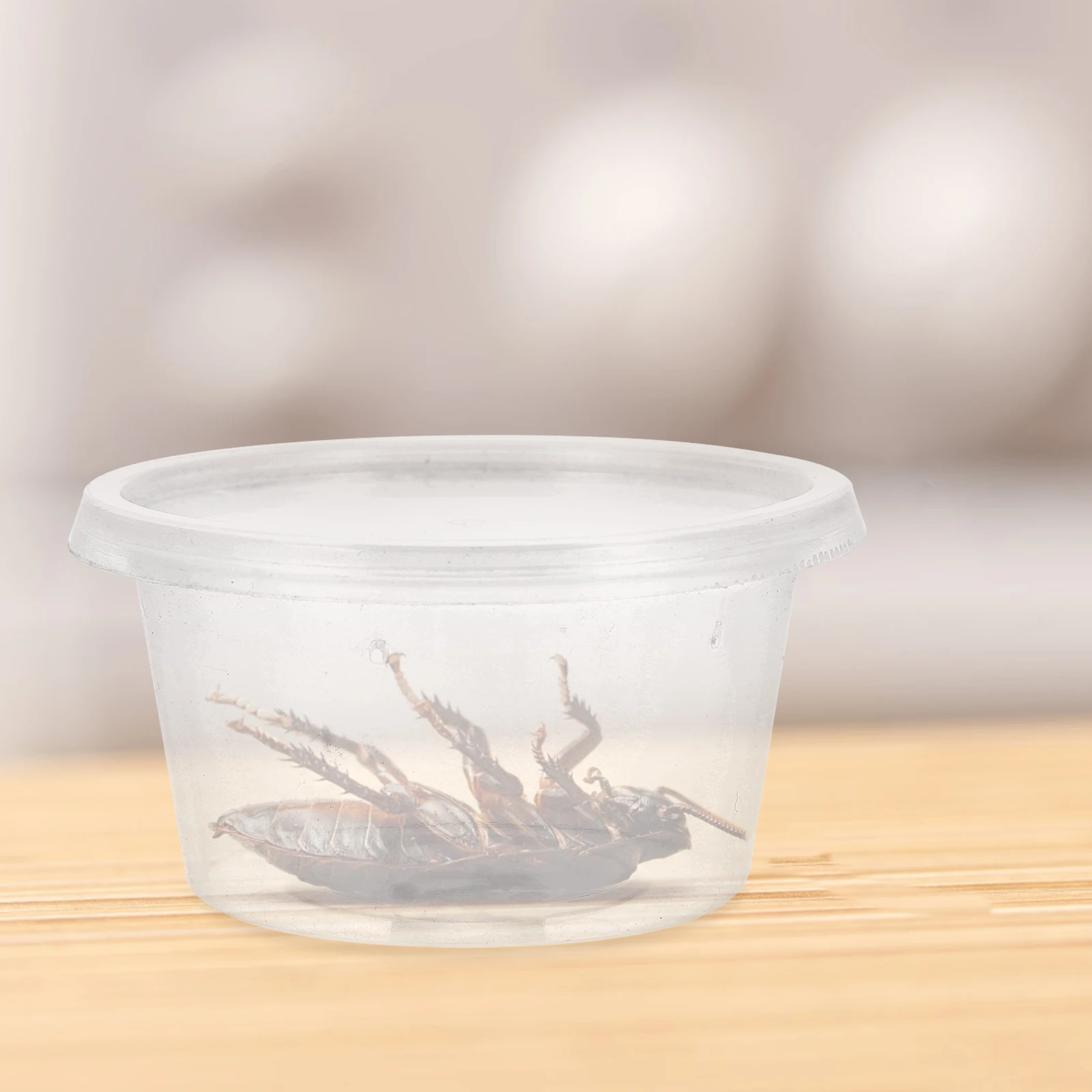 

10pcs Reptile Breeding Box Transparent Gecko Spider Terrarium Disposable Climbing Pet Case Plastic Reptiles Holder Mantis Box