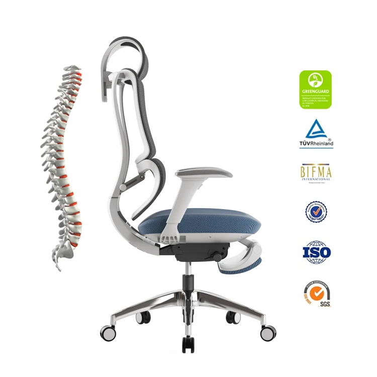 

With Headrest Task & Lift Chair for Workstation Wholesale Price Modern Executive Ergonomic Office Mesh Chair