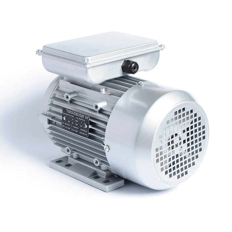 Single Phase YL6312 0.18KW 2800rpm Ac Motors 220V 50Hz Electric Motor B3 Single-phase Ac Induction 2 Pole Motor