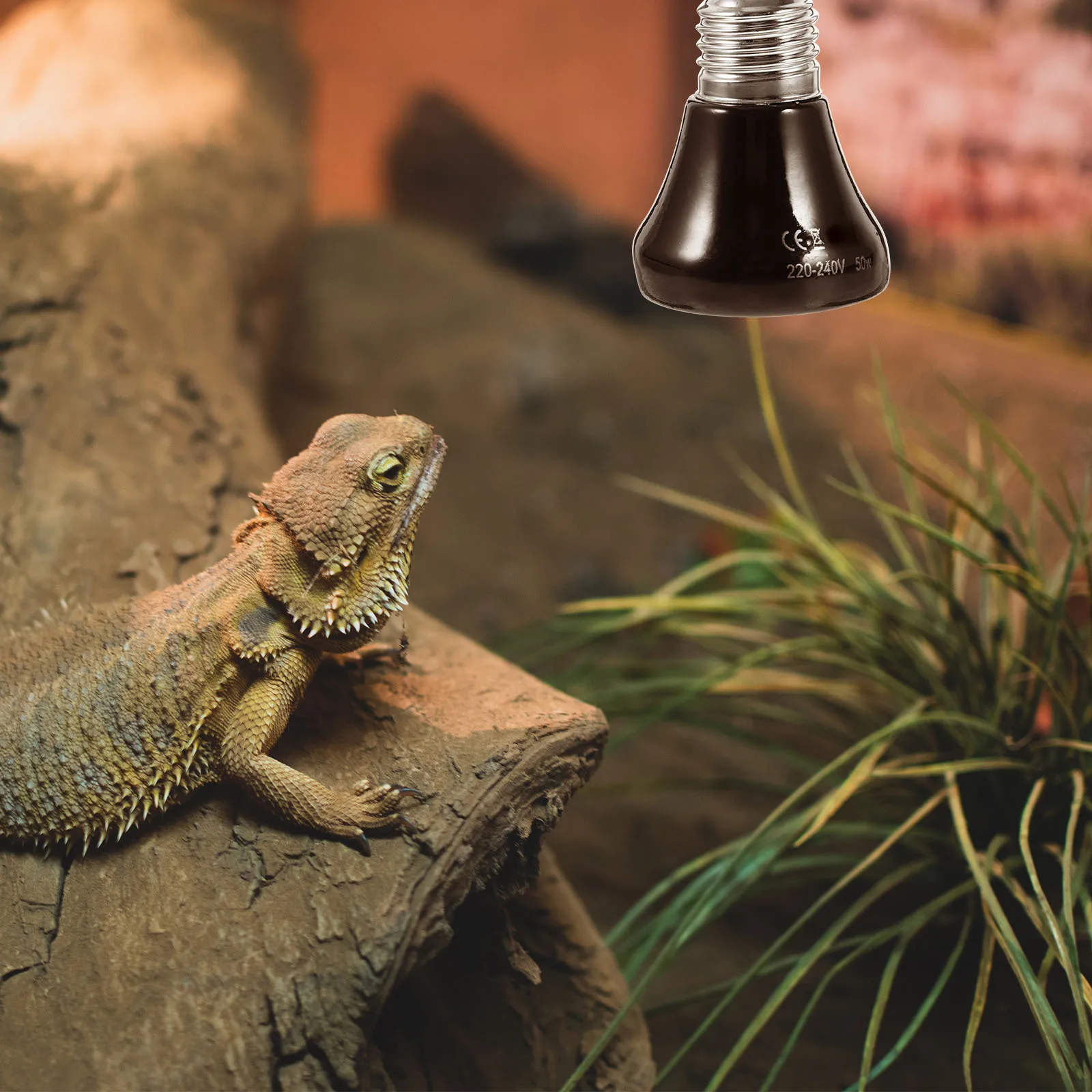 

50W Reptile Heat Bulb Ceramic Heating Lamp for Consistent Warmth in Vivariums Easy Installation Reusable Bulb for Pet Habitats
