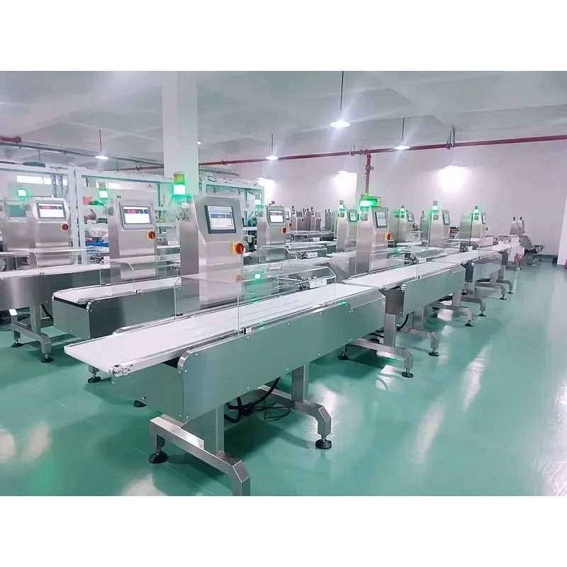 Industrial Inline Checkweigher Dynamic Conveyor Belt Automatic High Speed Precision Weighing Machines Equipment for Food