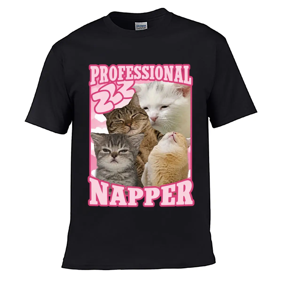 Professional Napper Funny Cat Meme Casual T-shirt