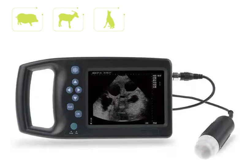 Scanner portatile per macchina ad ultrasuoni veterinaria con sonar per bovini pecore