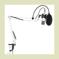 Neewer NW-700 White Microphone & Arm Stand Kit for YouTube Vlogging, Gaming, Podcasting, and Zoom Calls