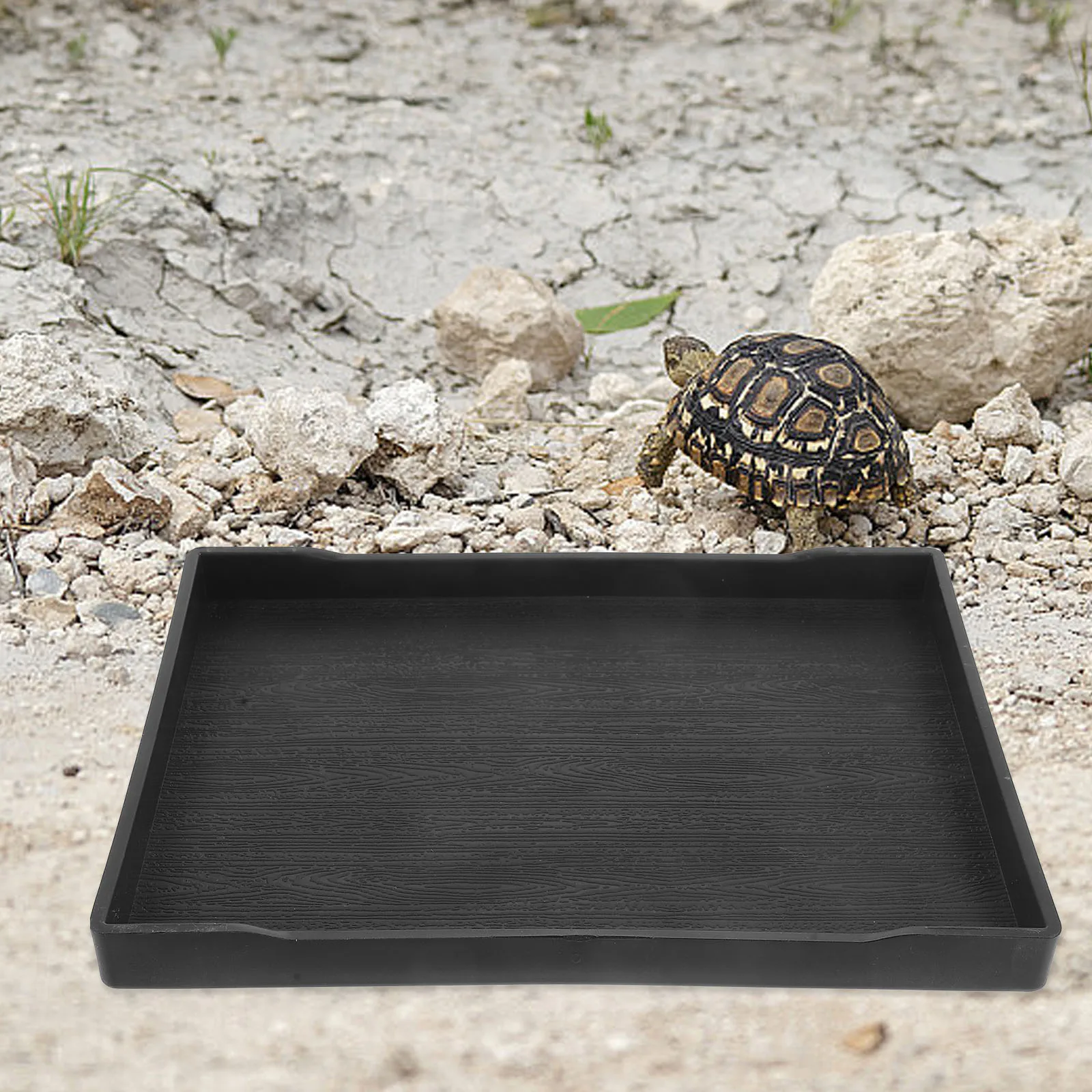 

Reptile Feeding Bowl Unbreakable Shallow Design No Mess Pet Food Water Dish Eating Drinking Bathing Turtle Supplies Simulated