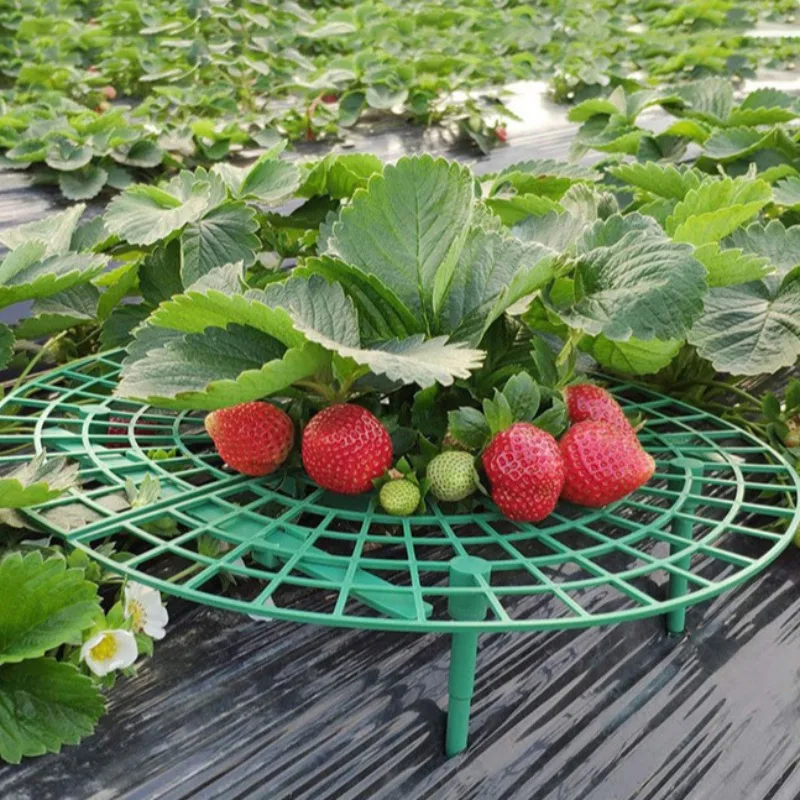 Strawberry Planting Tray Rack Green Plants Anti Lodging Plant Fruit Support Plate Horticultural Supplies Strawberry Support Rack