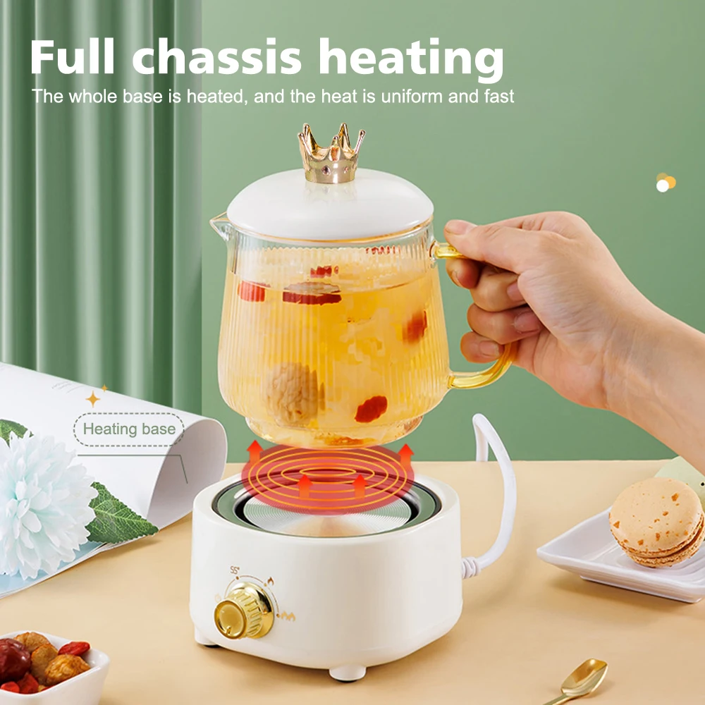 600ml Multifunctional Health Pot Portable 3 Gear Temperature Adjust Flower Teapot Office Electric Stew Cup Keep Warm Kettle 220V