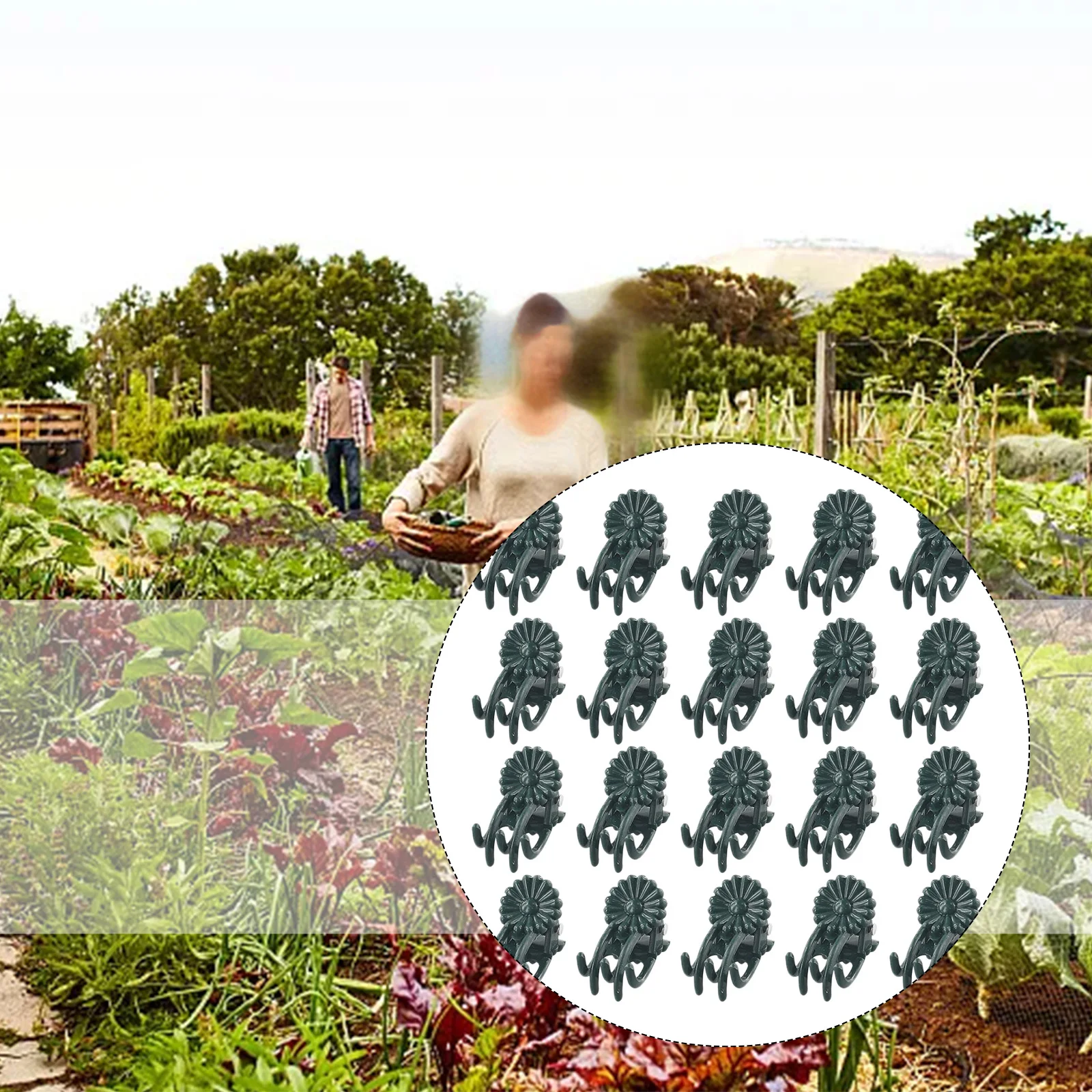 식물 클립 난초 클립 제거가 용이하고 사용하기 쉬운 재사용 가능한 지지대 줄기 클램프 도구 20개 데이지 실내 및 실외용