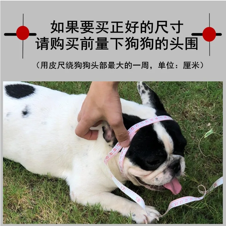 HQ SD01 Strong Solid Stainless Steel 304 Keel P Chain Dog Leash Collar for Small Middle Giant Pets Training 45-75CM Length