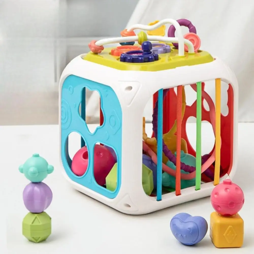 Colorful Blocks Activity Cube Sorting Game Shape Sorter Learning Motor Training Sensory Development Montessori Birth Gift