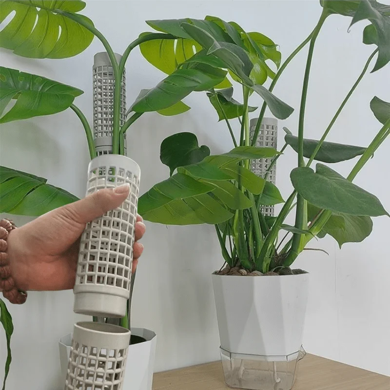 6 moss columns, each 5.5 inches long, are easy to assemble. These columns are suitable for securing climbing plants.