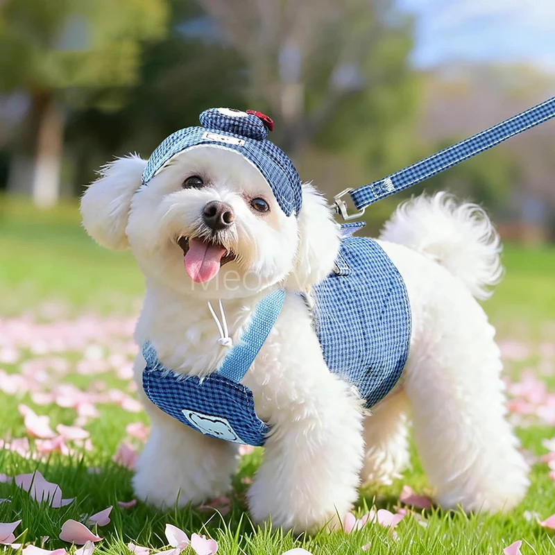 3-teiliges, bezauberndes Hundegeschirr-Set mit Sonnenhut, bequemes, atmungsaktives Westengeschirr für kleine Hunde, Bichon, Toy Poodle Outfit