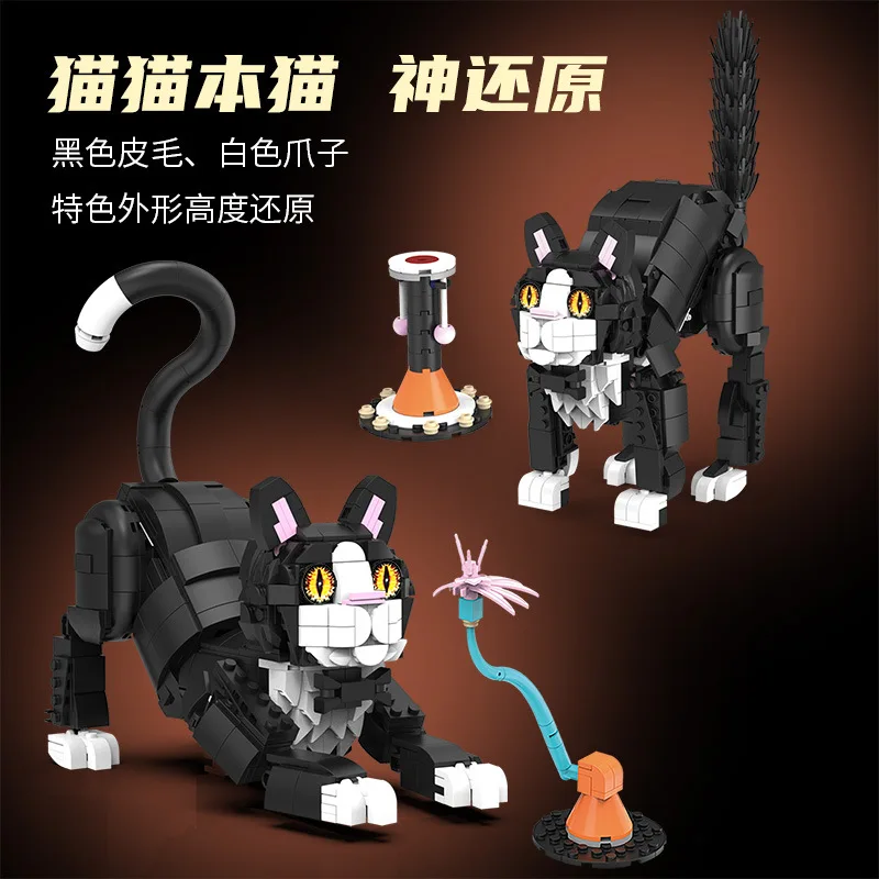 Cute Kitten Model 5…