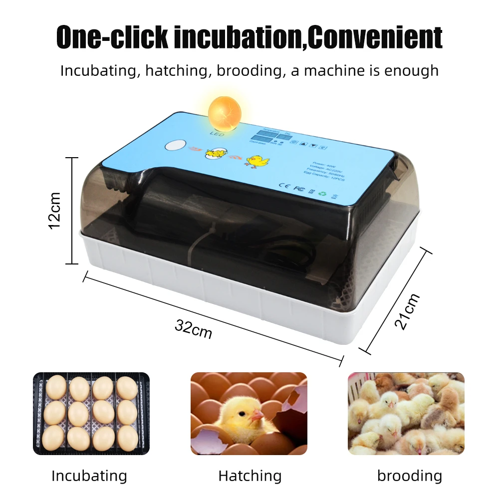 12 Egg Incubator Hatchery Egg Hatchers Cheap Price Incubator Brooder Chicken Automatic Eggs Incubator Bird Quail Brooder EU US