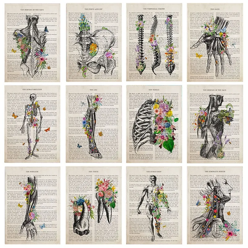 Plakaty anatomiczne zęby mięśni kręgosłupa nadruki kwiatowe obraz na płótnie obrazy na ścianę wystrój domu w klinice laboratoryjnej