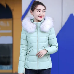 Veste rembourrée en coton pour femme, vêtements d'extérieur d'hiver minces, grand col en fourrure, poignées, chapeau amovible, manteau en duvet, parkas pour femme, haut court, nouveau