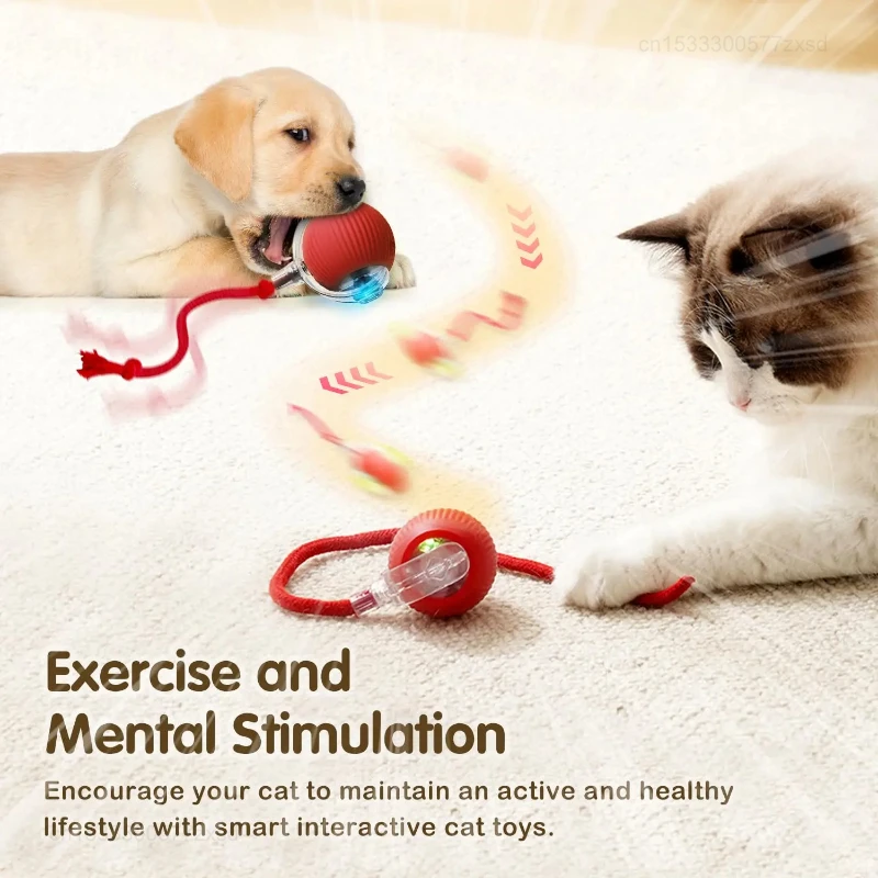Cat Interactive Ball Toy Autom - Interactive Cat Toy review and price