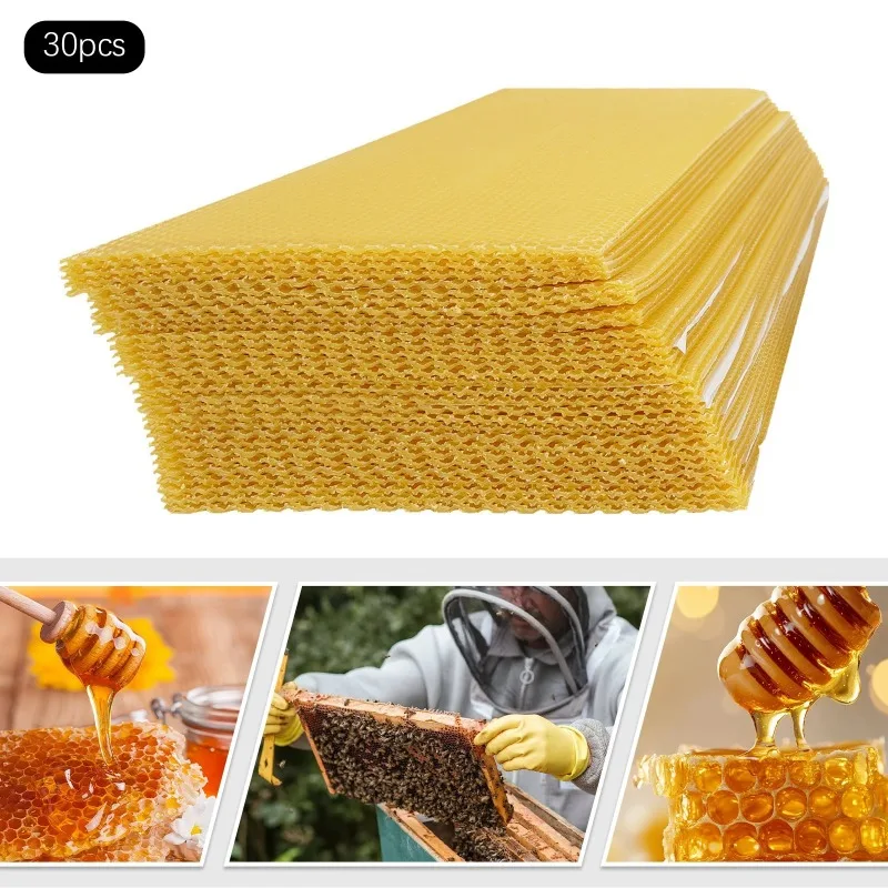 30/60/100 Pcs Beeswax Hive Honeycomb, Beekeeping Tool for Bees Nest Building, High Quality Farm Beekeeper Supplies