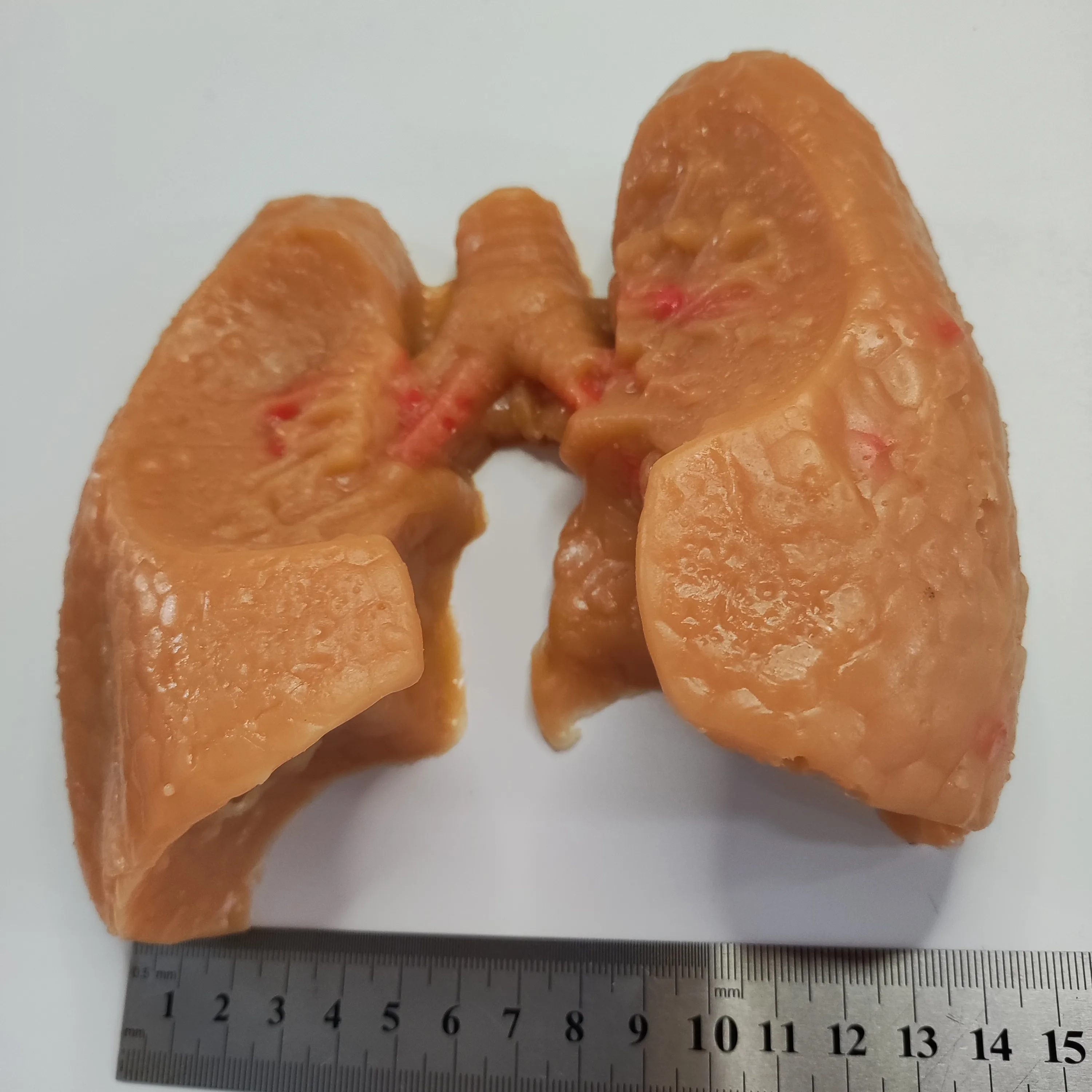 

Simulation Training Module Model of Lobar Suture Vascular Anastomosis in Cardiothoracic Surgery