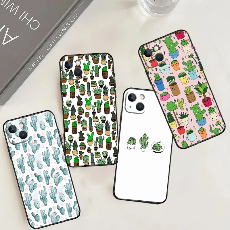 Cactus Succulent Ca…