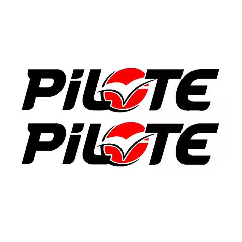 2pcs for Pilote Motorhome Camper Stickers Caravan Motorhome Stickers