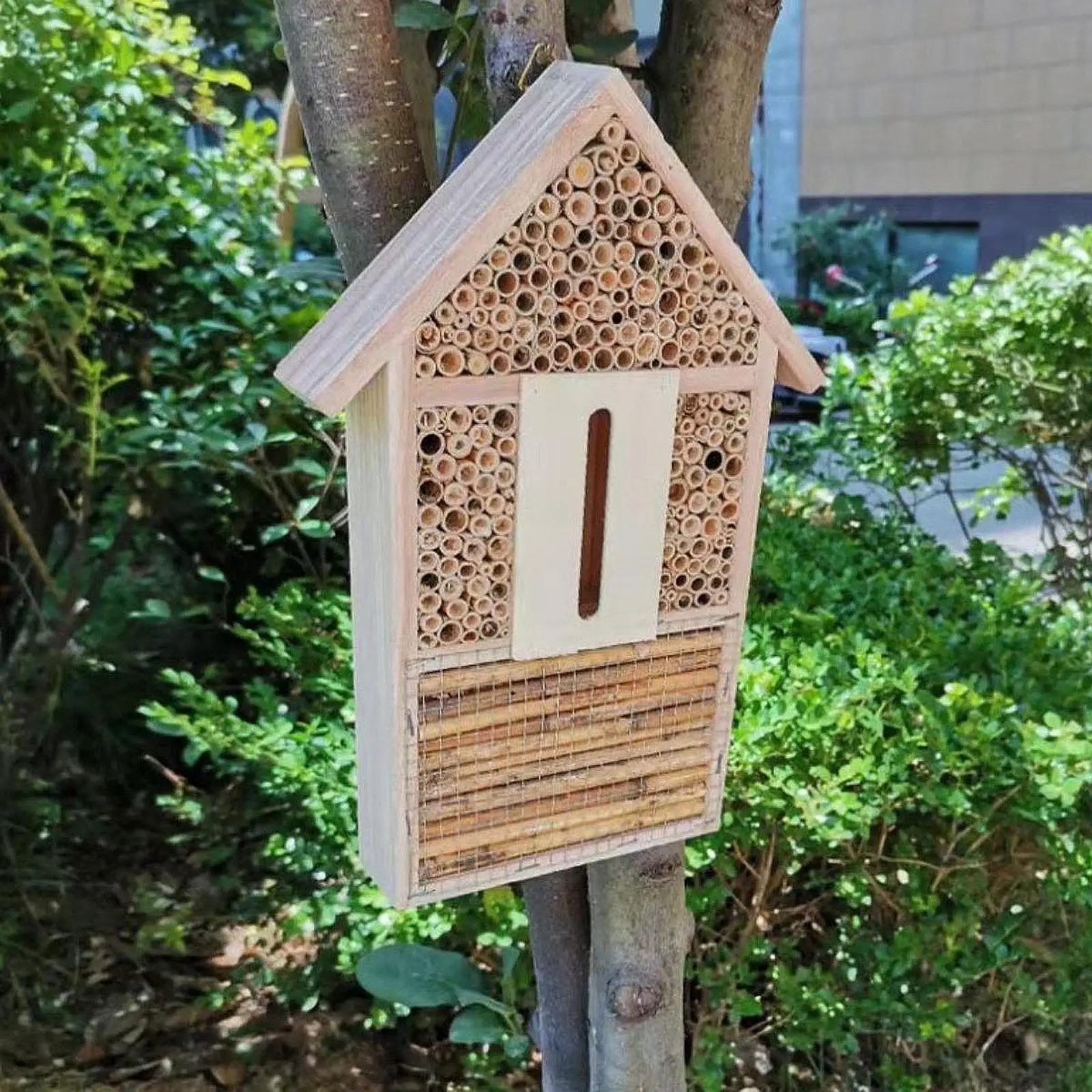 Будиночок пчел висит отель-бабочка ручной работы для божьих коров, пчел, бабочек