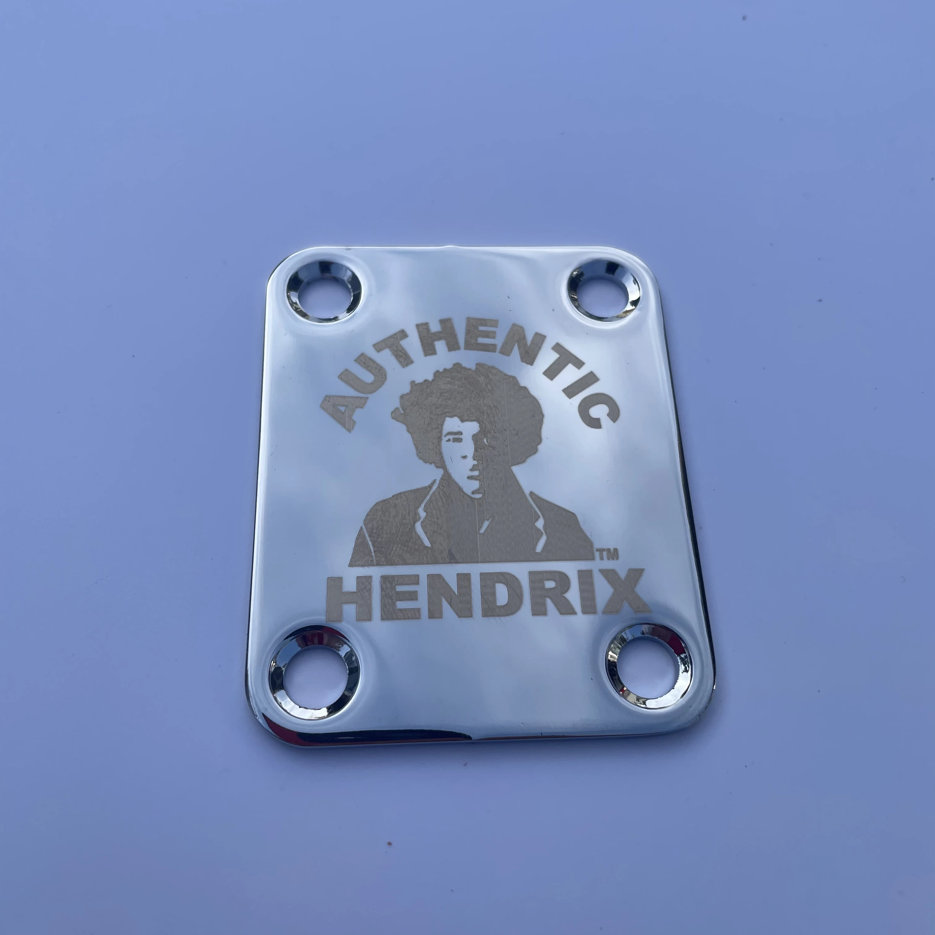 AUTHENTIC HENDRIX Electric Guitar Screws Connection Plate Chrome Hardware