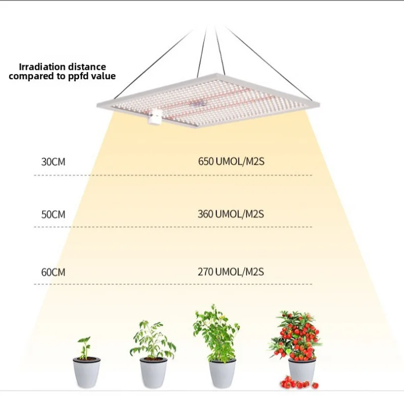 

100W Quantum Board Full Spectrum Grow Light: Leafy Veggies & Cherry Greenhouse Flower LED