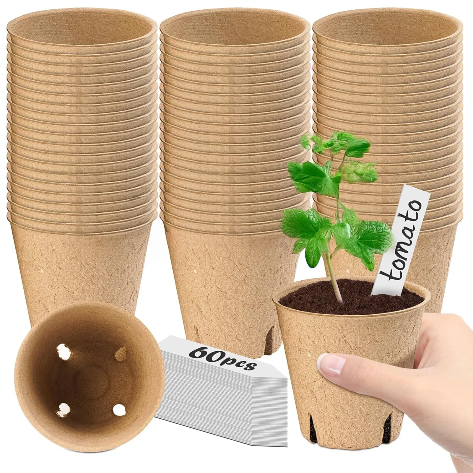 yes60 Pcs Biodegradable Peat Pots With Plant Labels Seed Starter Trays For Vegetables Flowers Herbs Gardening Transplanting view 2