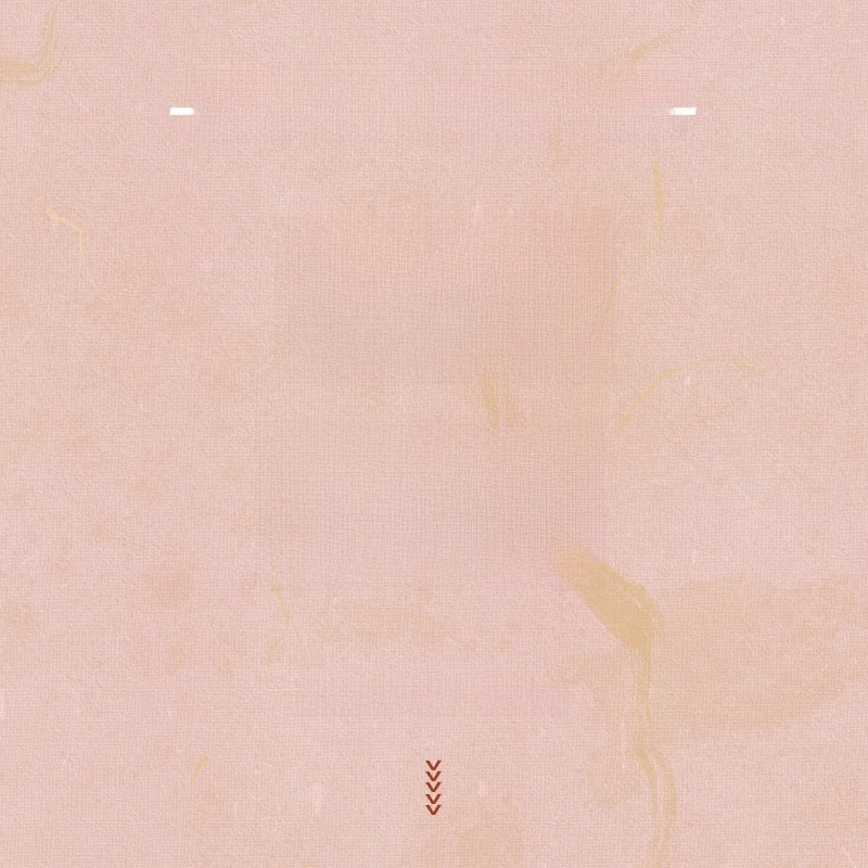 

Коллекция повседневных брюк: женские брюки с широкими штанинами, застежка на молнии, другие материалы, 00% хлопок, зимний сезон, из Китая.