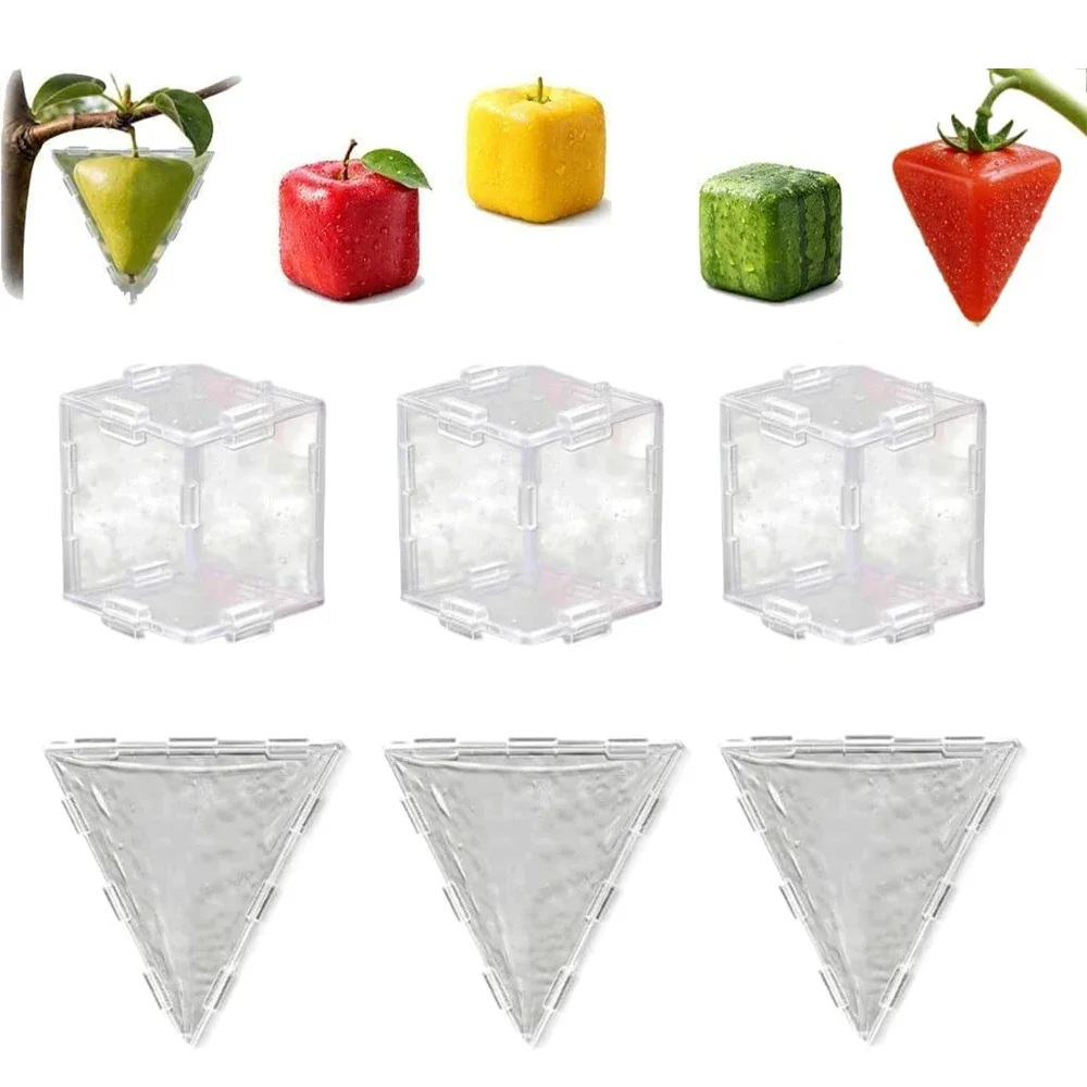 Mini Cube Triangle Fruit Shaping Mold Reusable Transparent Growing Tool Strawberry Tomato Styling Mould Garden DIY Accessories