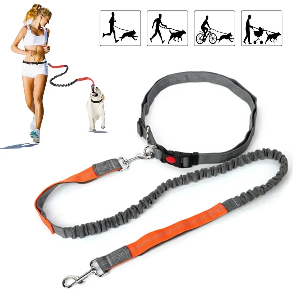 Correa retráctil para perro con cuerda de cintura ajustable, mano libre, correr, trotar, ciclismo, perros grandes, elasticidad para mascotas,