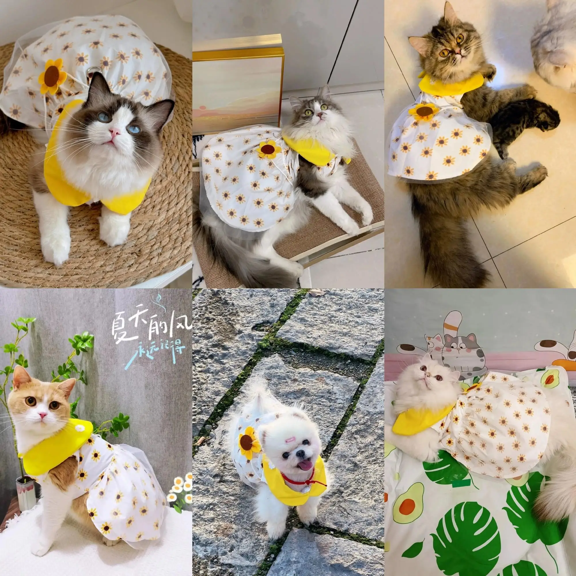 Vestiti per animali domestici Cat Puppy Princess Dress abiti scozzesi a righe con fiocco per gatti Summer Kitten Dog Sphynx abbigliamento