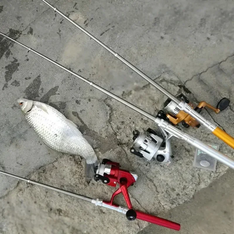 Portable Pocket Telescopic Mini Fishing Pole with Reel Wheel, Folded Pen Shape, 20cm