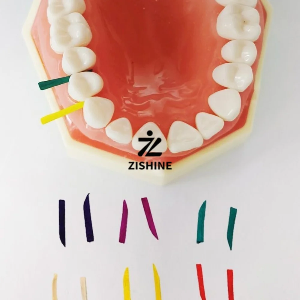 300Pcs Dental Wooden Wedges Set 6 Sizes Color Coded Tooth Interdental Matrix Wedges Dentistry Restoration Gap Filling Tools