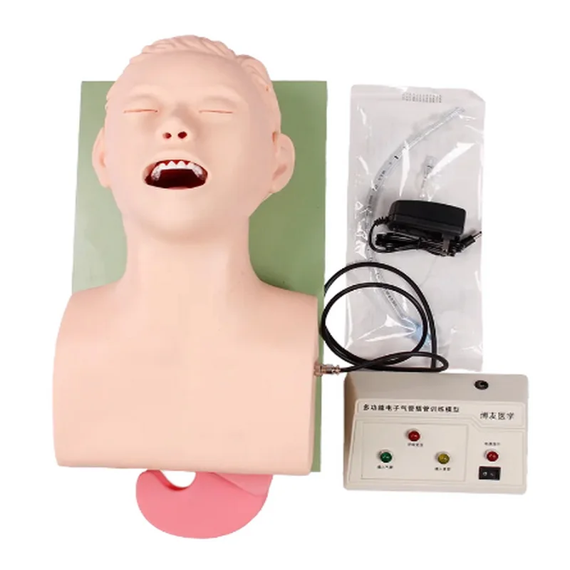 Adult Electronic Human Tracheal Training Model Endotracheal Intubation Training Manikin with Tooth Pressure Alarm