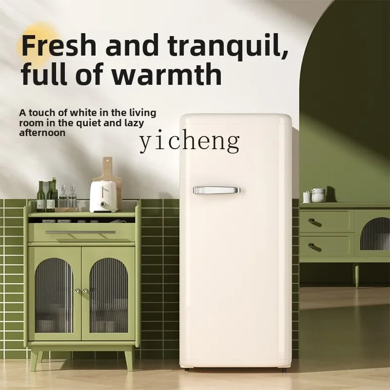 ZS  refrigerator household small Internet celebrity high value silent energy saving refrigeration
