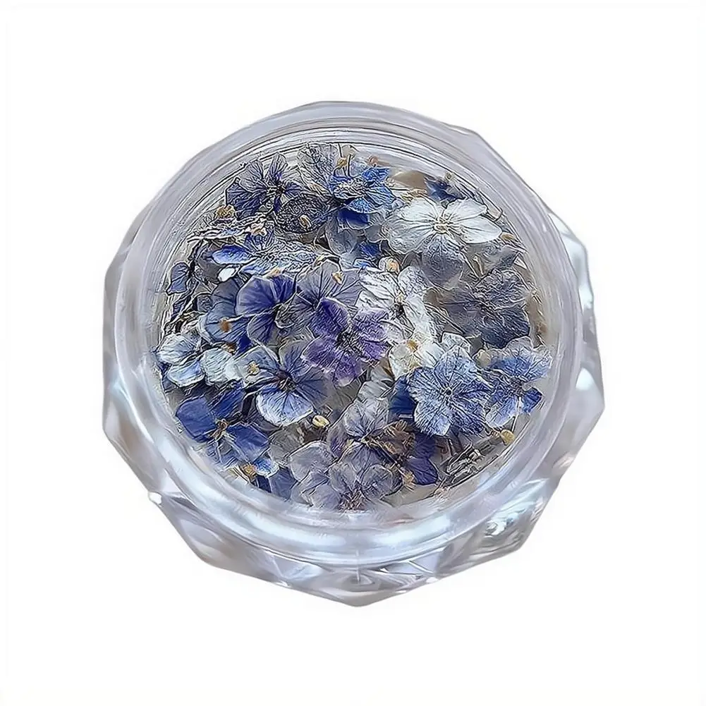 Getrocknete Blumenmaterialien für Nägel, romantische Monet-Garten-Farbpalette, lebendige Accessoires, Wildblumen-Nagelkunst-Dekorationen, Werkzeuge – Detail 4