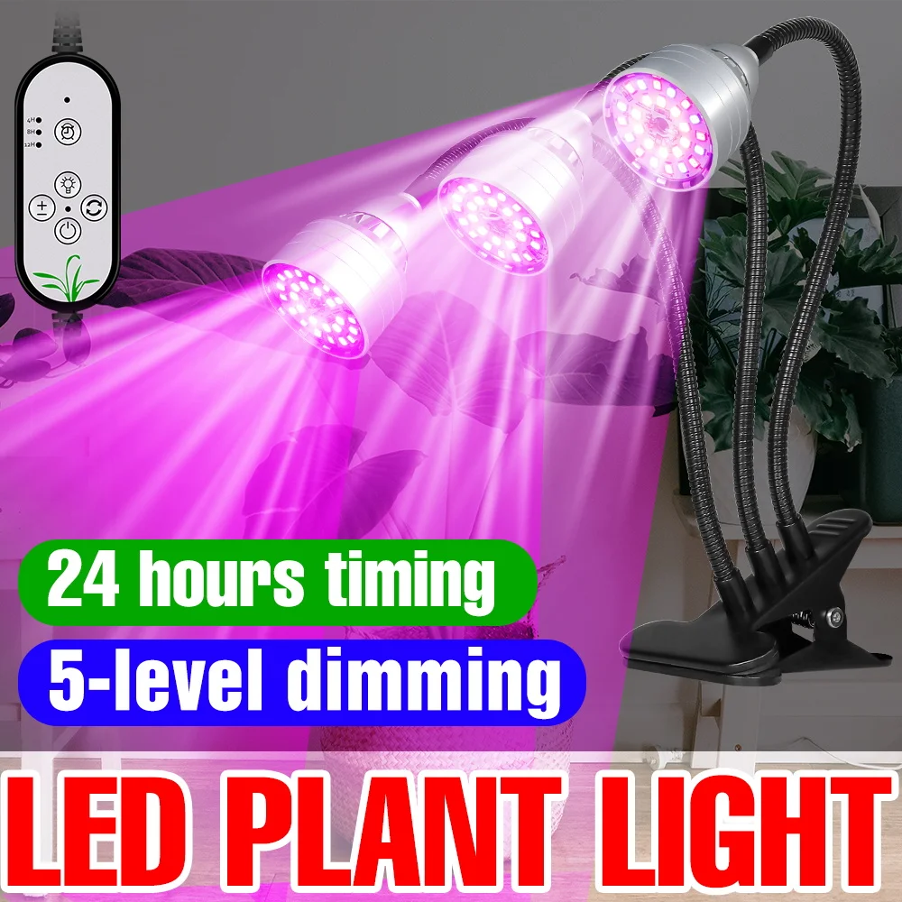 5V Full Spectrum Le…