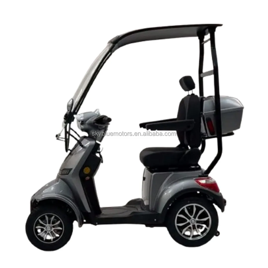 Modification New Luxury Mobility Scooter Courtesy Car with Canopy Roof for Handicapped
