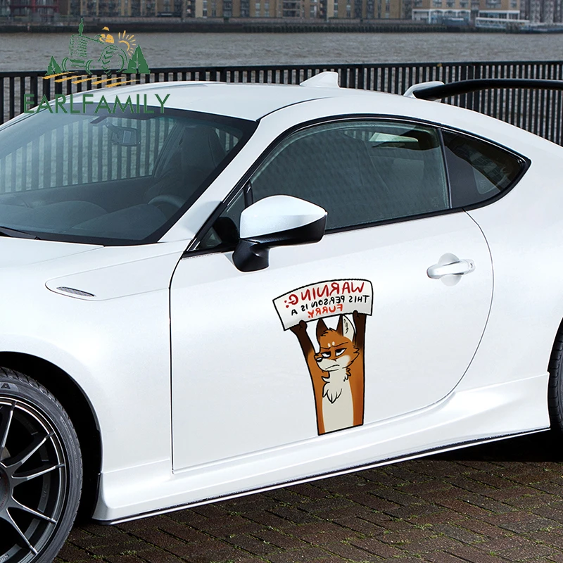 EARLFAMILY 43cm x 26.4cm Furry Vinyl Car Stickers Trunk Decals Scratch-Proof Personality Waterproof JDM Accessories Windshield