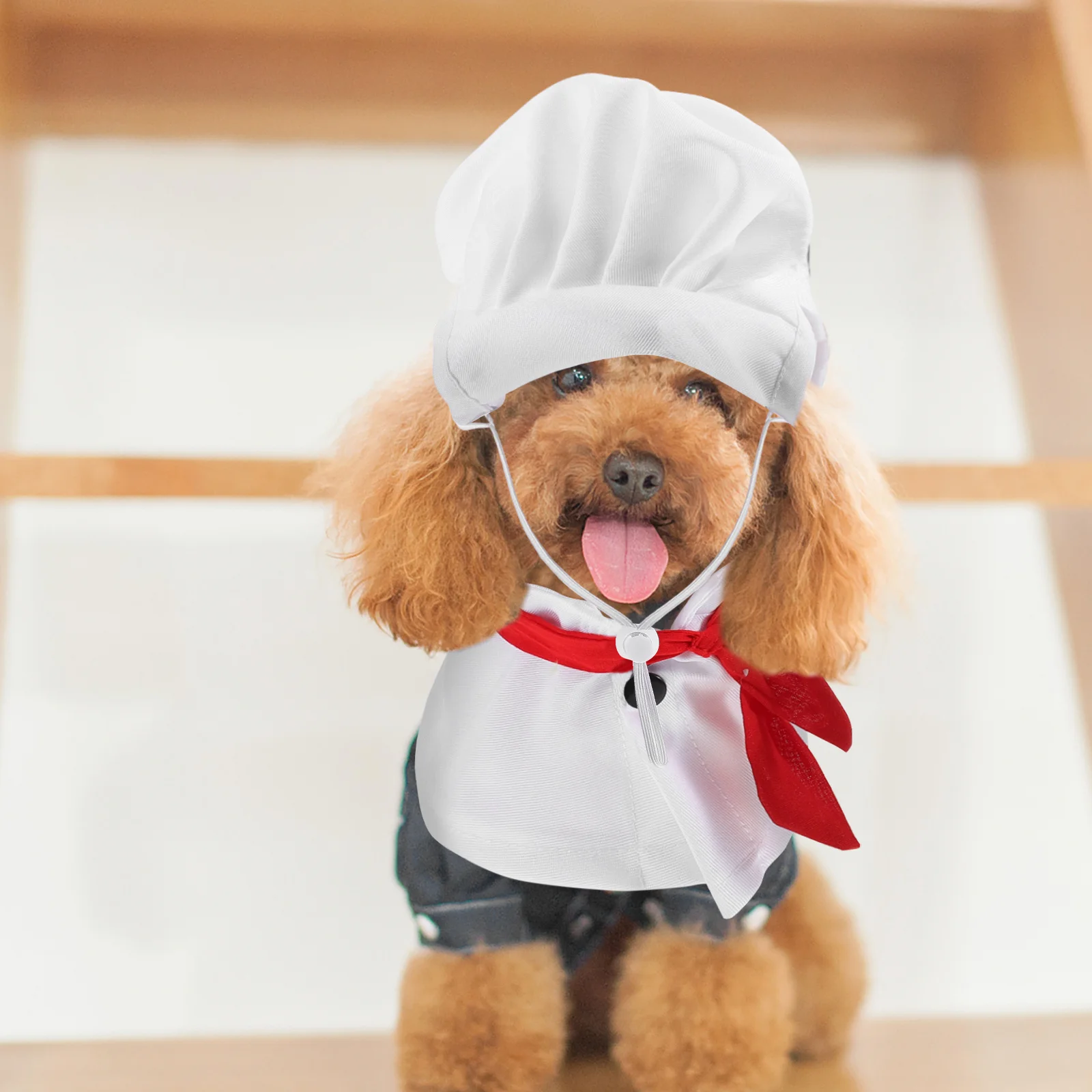

Funny Pet Chef Outfit Dog Kitchen Costume Clothing Animal Baker Hat Cotton Cooking Accessories