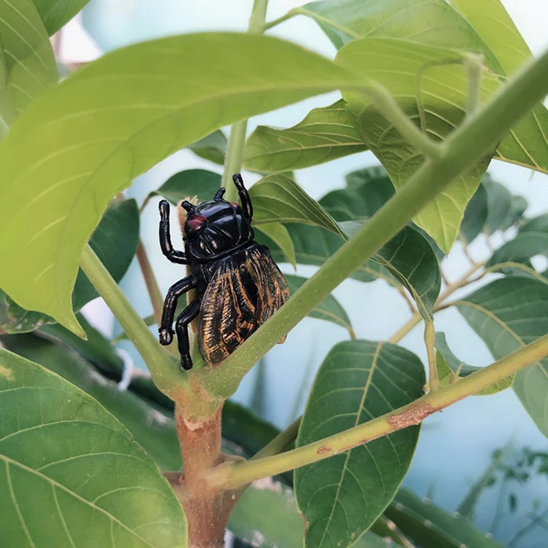 Mainan simulasi Cicada mainan Model lucu menyenangkan mainan kecil ornamen Hari tipuan April mainan Prank mainan anak-anak Pembelajaran Dini mainan kognitif