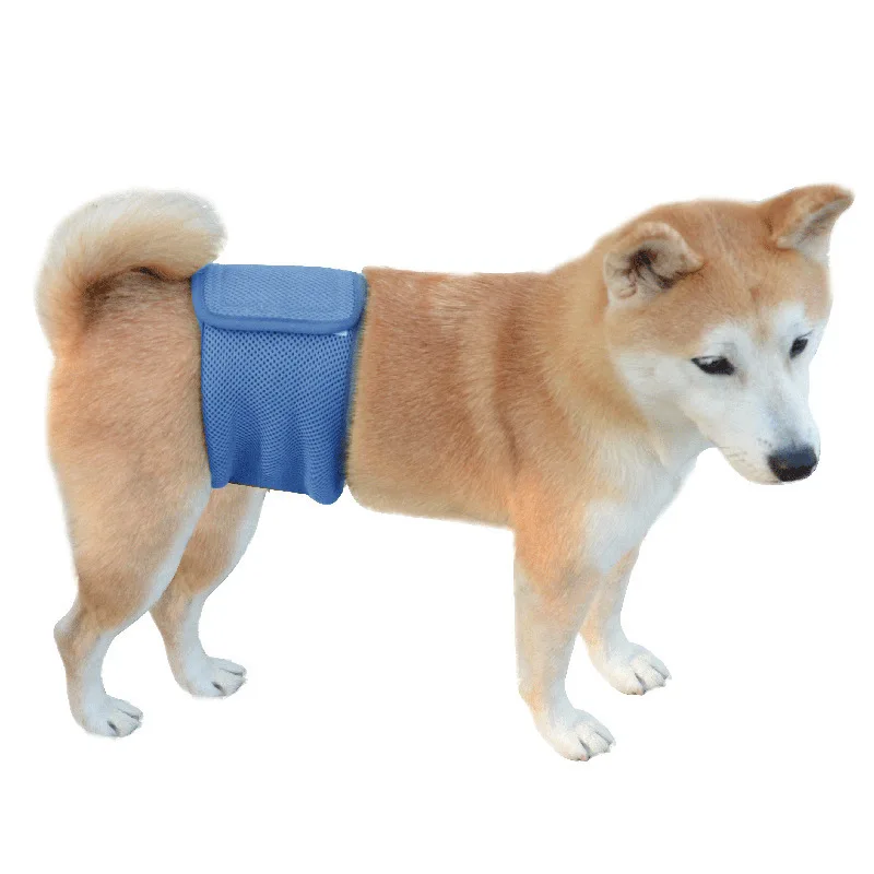 Breathable Mesh Net Hole Sandwich Solid Color Pets Breathabl