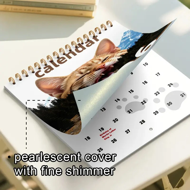 

[k]2026 Cat Calendar For Cat Lovers Funny Cats Calendar,Kitten Calendar 2026 Monthly Wall Hanging Calendars Cute Funny Cat Pet