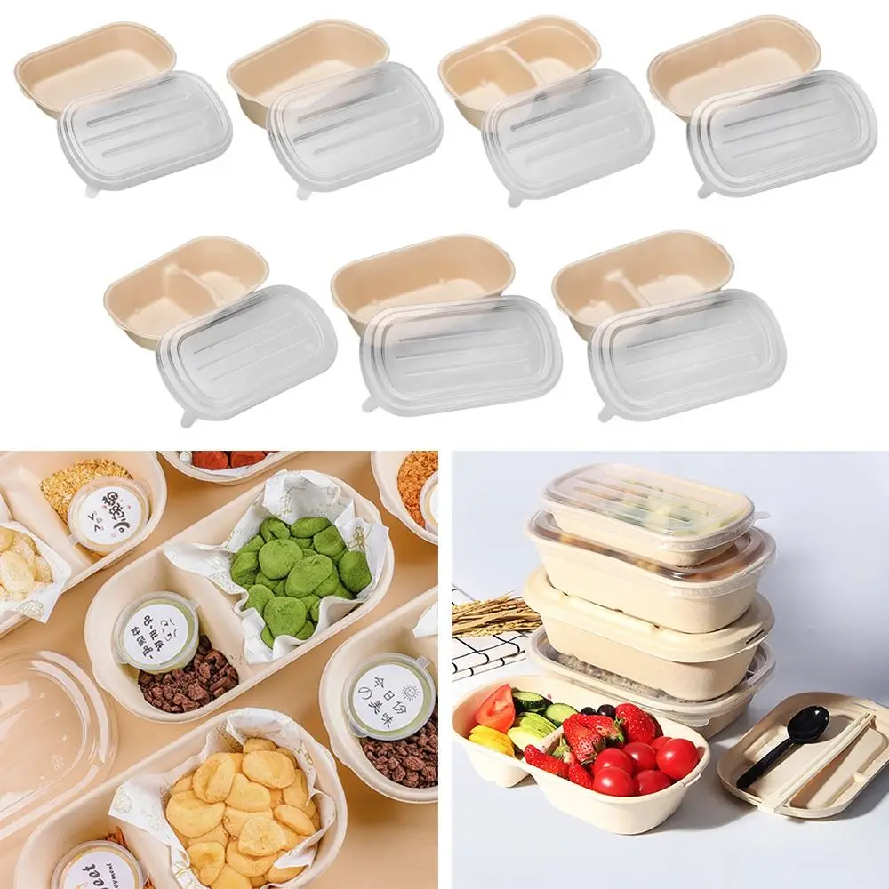 Paper Light Food Box Degradable 500ml/700ml/850ml/1000ml Disposable Packing Salad Takeout Fitness Paper Pulp Lunch Box