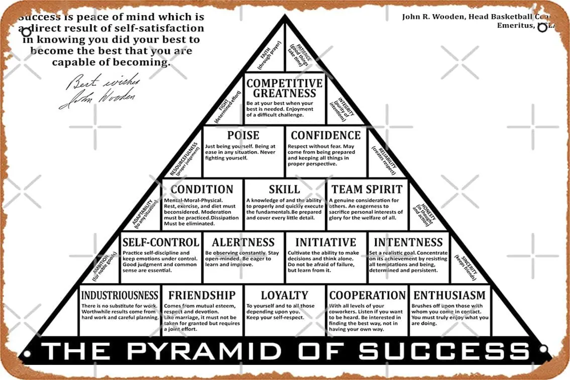 1p,THE PYRAMID OF SUCCESS Black & White (iv) Photographic Print Metal Tin Sign Vintage  Inch