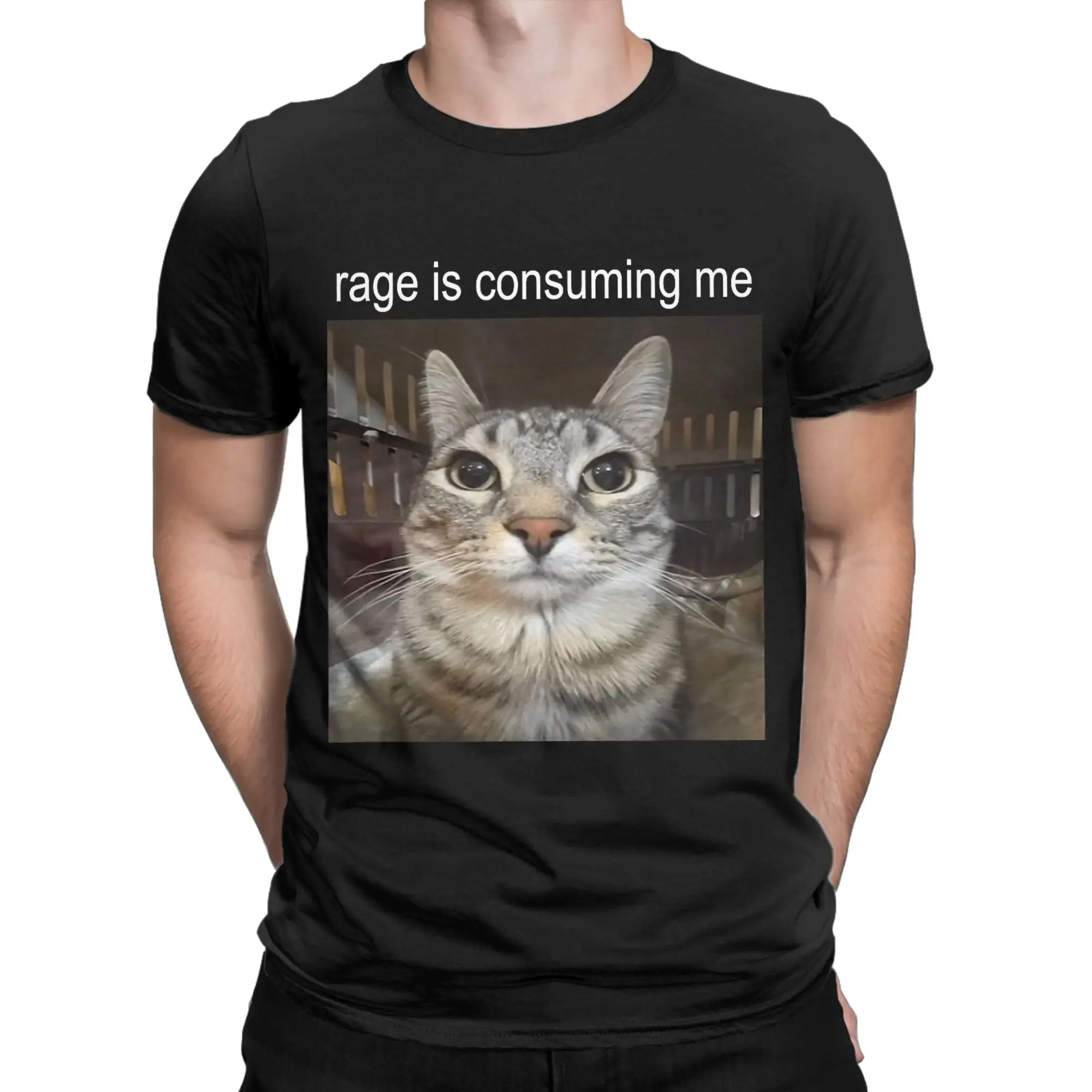 Funny Cat MeMe  Cotton T Shirt For Male Summer  Awesome T Shirts Comfortable Leisure Tees Plus Size Cheap Tops