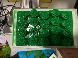 Resin Jewelry Casting 3D Printing Wax Loss High Wax Containing 80% Easy to print cast Clean High-Precisi Highly recommended