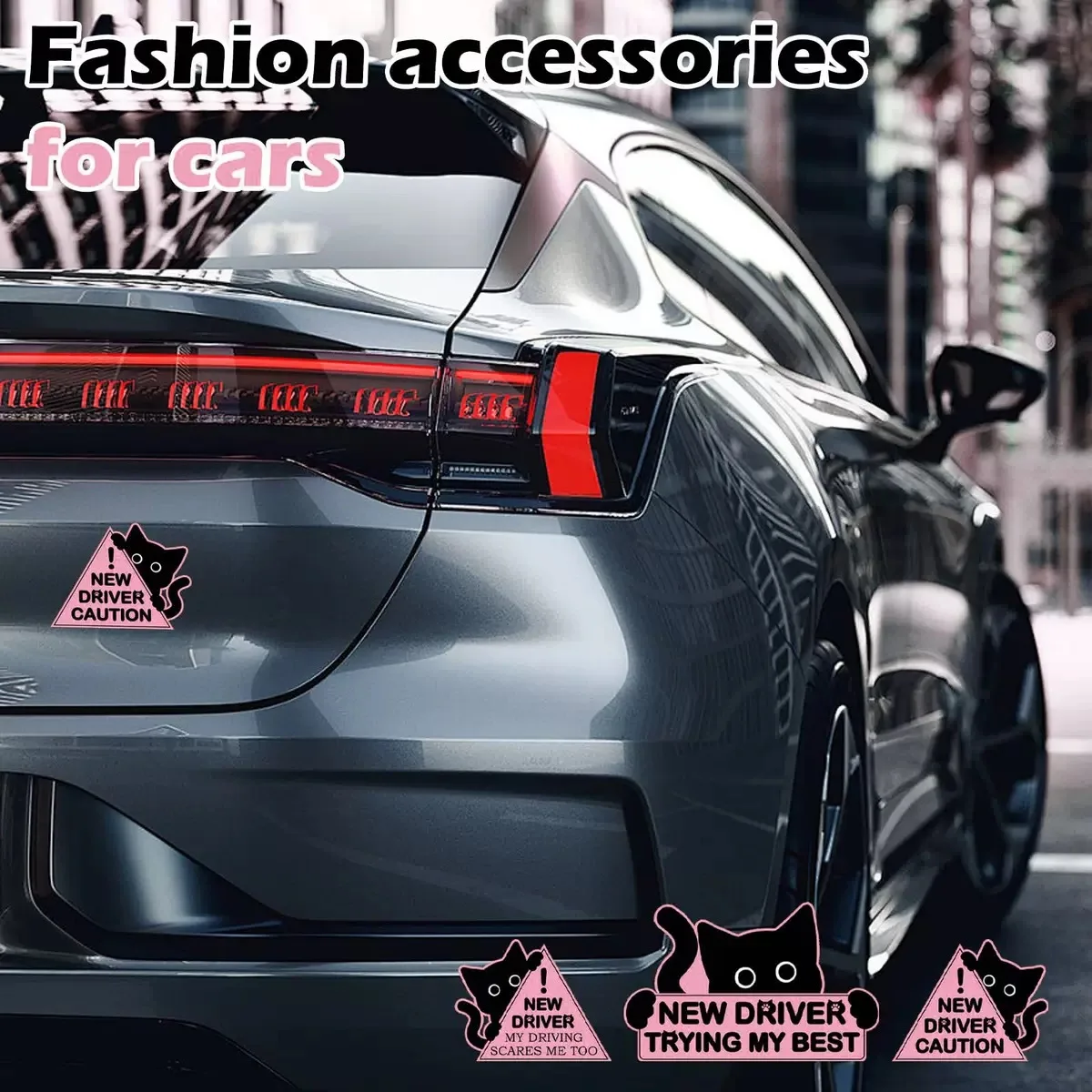 Magnetischer Reflektierender Aufkleber für Fahrschüler, Studenten-Fahrer-Stoßstangenaufkleber, Englischer Katzen-Aufkleber – Detail 1
